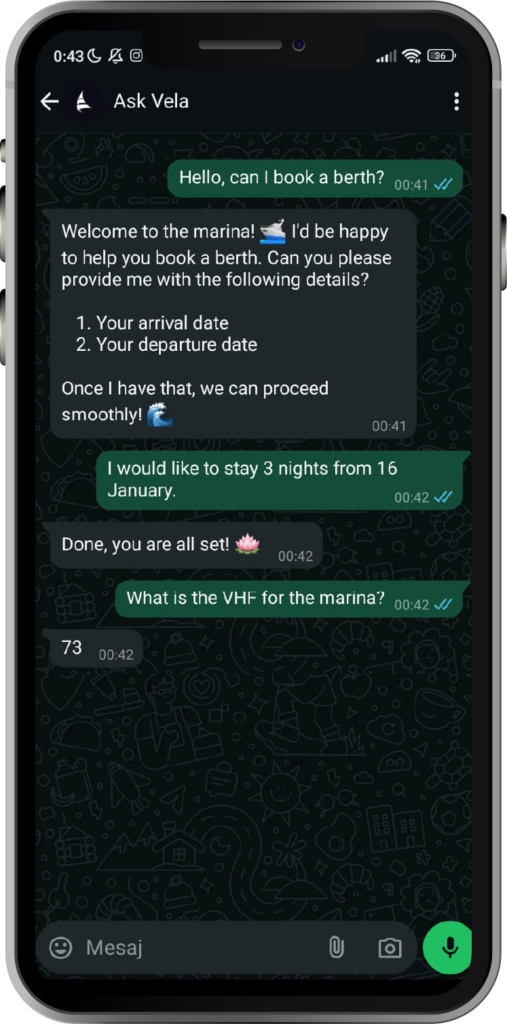 vela chat demonstration screenshot